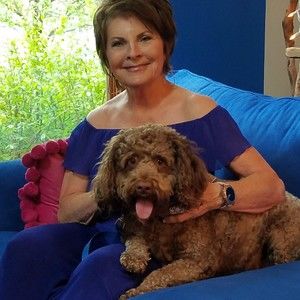 Meet your Posher, Barbara